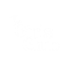 Red_and_Beige_Vintage_Bold_Typographic_Beauty_Salon_Logo-removebg-preview